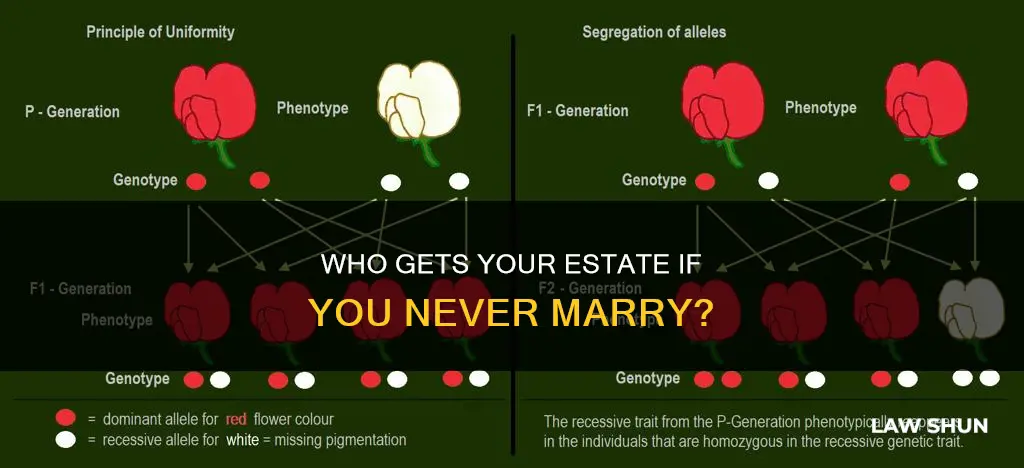 how do will laws apply to single never married