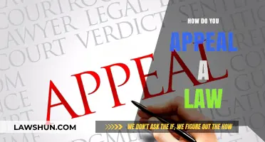Navigating the Legal Labyrinth: Your Guide to Appealing a Law