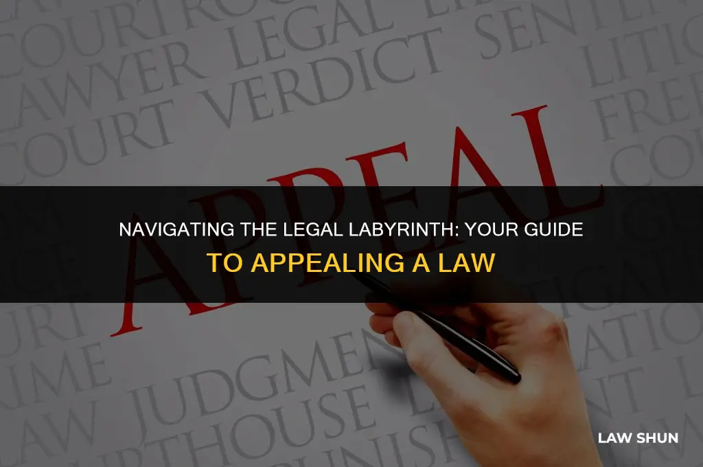 how do you appeal a law