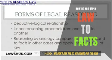 Applying Law to Facts: A Practical Guide