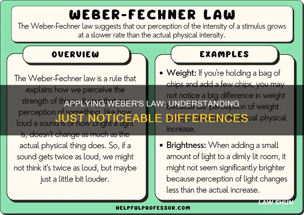 how do you apply weber