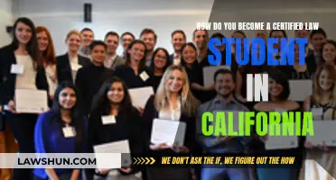 Becoming a Certified Law Student in California: A Guide