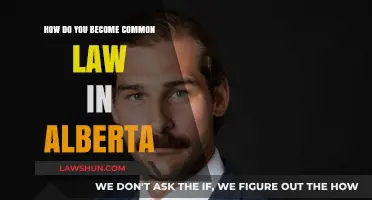 Understanding Common Law in Alberta: What You Need to Know