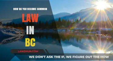 Understanding Common Law in BC: What You Need to Know