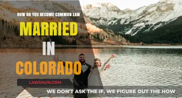 Understanding Colorado's Common Law Marriage Requirements