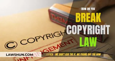 Understanding Copyright Law: What You Should Never Do