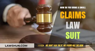 Filing a Small Claims Lawsuit: A Step-by-Step Guide for Beginners