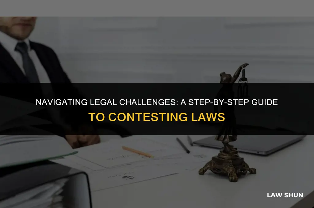 how do you challenge a law