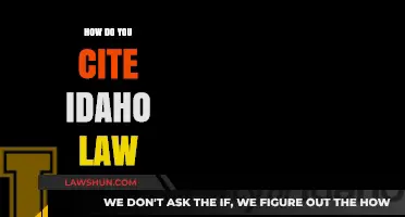 Mastering Idaho Law Citations: A Comprehensive Guide for Legal Writers
