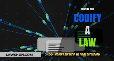Decoding the Process: How to Codify a Law in 8 Steps