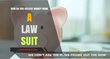 Winning Your Lawsuit Payout: A Step-by-Step Guide to Collecting Your Money