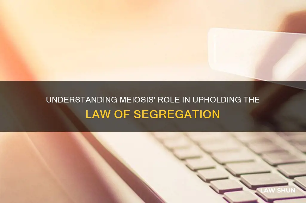 how do you connect meisos to the law of sgragation