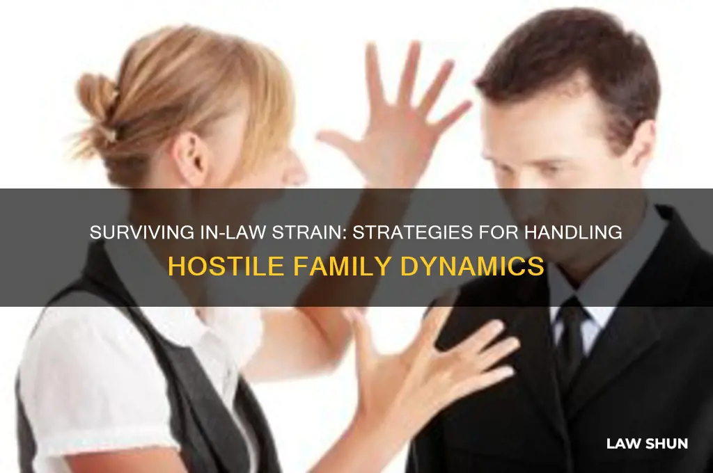how do you deal with in-laws that hate you