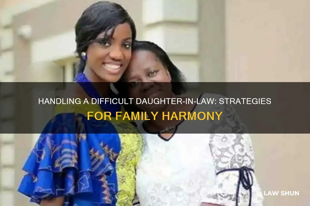 how do you deal with nasty daughter in law