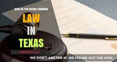 What is Common Law in Texas?