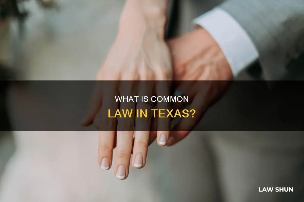 how do you define common law in texas