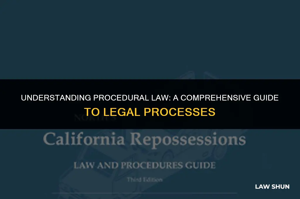 how do you define procedural law