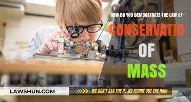 Proving the Law of Conservation of Mass: Simple Experiments Explained