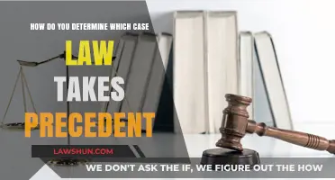 Case Law Hierarchy: Which Takes Precedent?