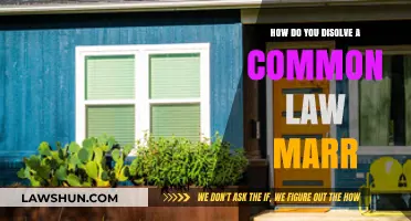 Breaking Up a Common-Law Marriage: What You Need to Know