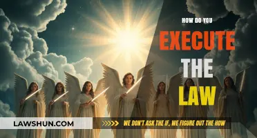 Executing Justice: A Guide to Upholding the Law Effectively