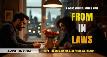 Mixed Emotions: Navigating Post-In-Law Visit Feelings and Reflections