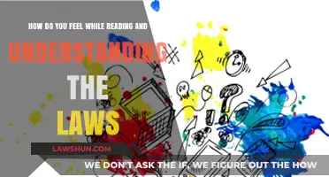 Navigating Legal Texts: Emotions and Insights While Decoding Laws