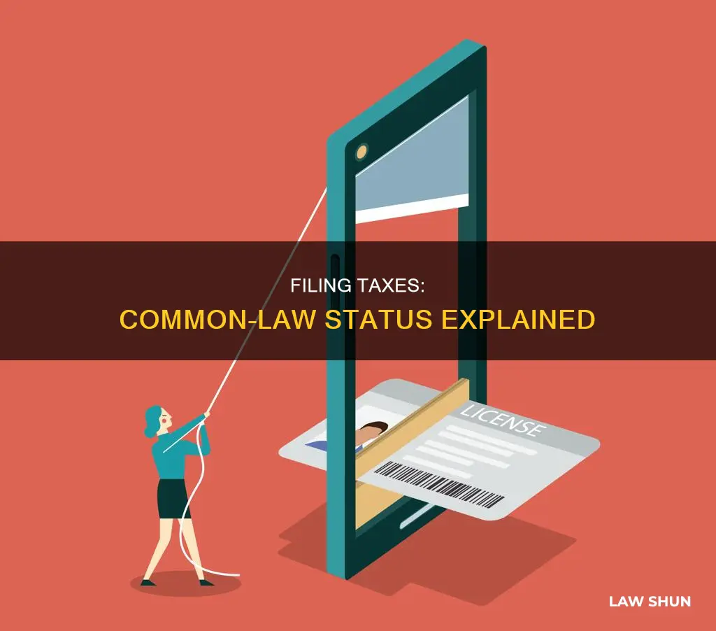 how do you file taxes if common law