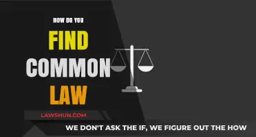Finding Common Law: A Guide to Locating Legal Precedent