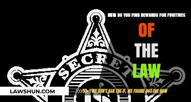 Tracking Down Fugitives: Uncovering Rewards for Law Evaders