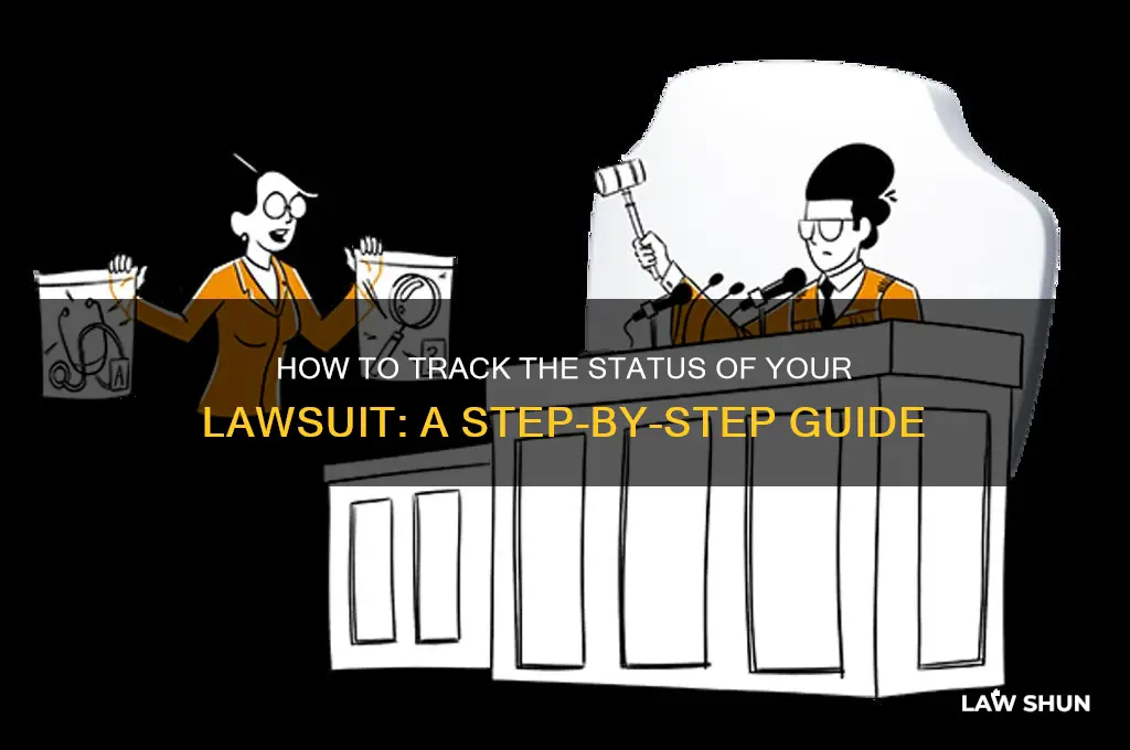 how do you find the status of a law suit