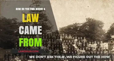 Tracing Legal Origins: Uncovering the Roots of Laws and Regulations
