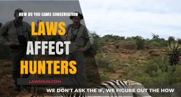 How Game Conservation Laws Impact Hunters: Rights, Responsibilities, and Regulations