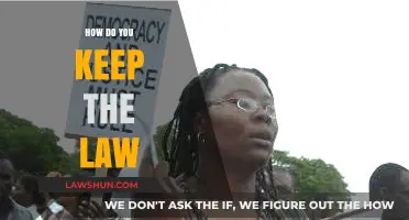 Upholding Justice: A Guide to Abiding by the Law