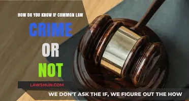Common Law Crimes: How to Identify?