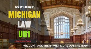 Understanding Michigan Law UR1: Key Indicators and Compliance Checks