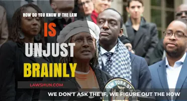 Identifying Unjust Laws: A Guide to Recognizing Legal Injustice
