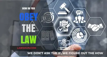 Understanding Compliance: A Guide to Obeying the Law