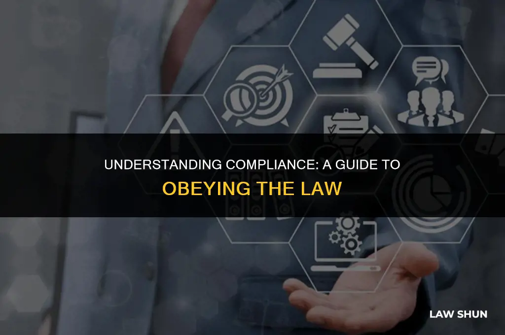 how do you obey the law