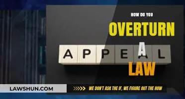 Navigating the Complex Process of Overturning a Law: A Comprehensive Guide