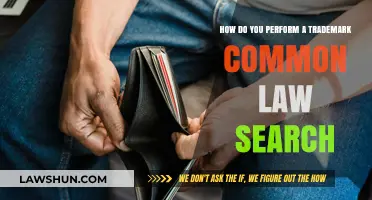 Trademark Common Law Search: A Comprehensive Guide