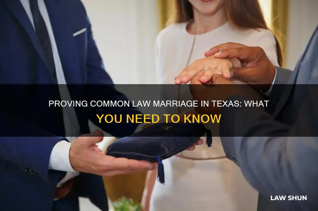 how do you probe youre common law marriage in texas
