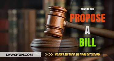 Crafting Legislation: A Step-by-Step Guide to Proposing a Bill
