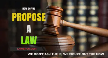 Crafting Legislation: A Citizen's Guide to Proposing Laws