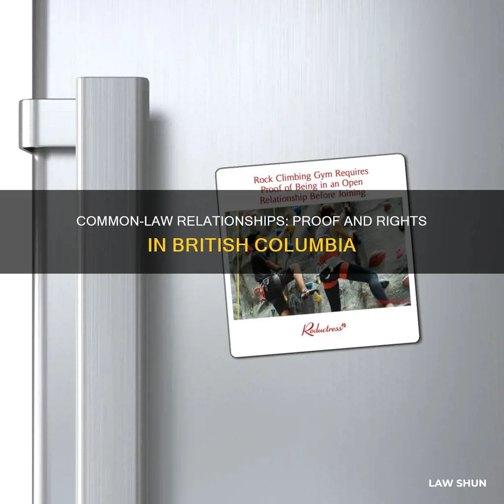 how do you prove common law in bc