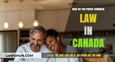Common-Law Relationships: Proving Cohabitation in Canada