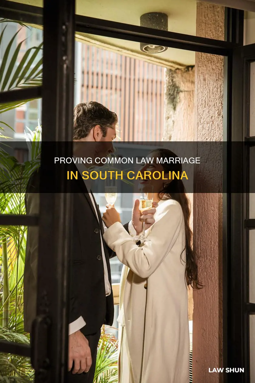 how do you prove common law marriage in sc