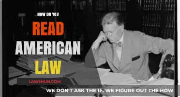 Decoding American Law: A Beginner's Guide to Understanding Legal Documents