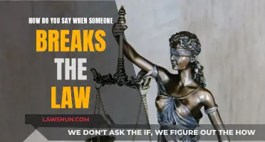 Breaking the Law: Understanding Criminal Justice