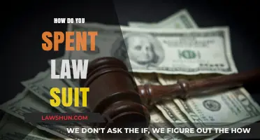 Smart Strategies for Spending Your Lawsuit Settlement Wisely and Securely